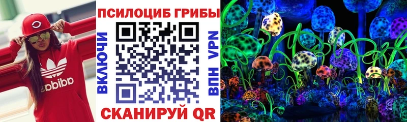 Галлюциногенные грибы GOLDEN TEACHER  купить наркоту  Киселёвск 